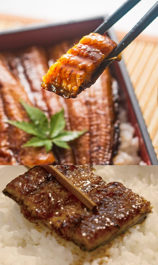 鹿屋市白米友好名産品 鰻